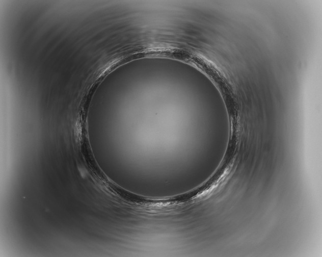 X0000093741401200710161130