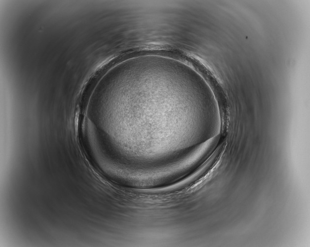 X0000093741402200710161130