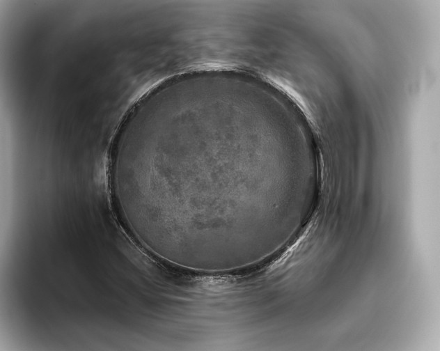 X0000093741404200710161130