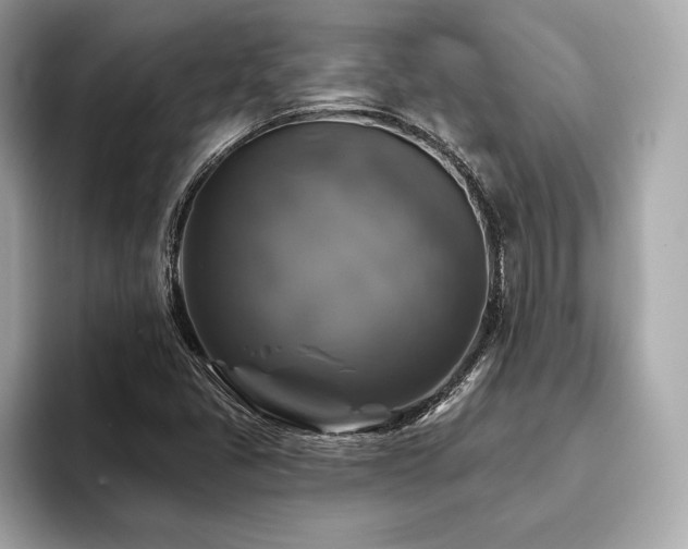 X0000093741405200710161130