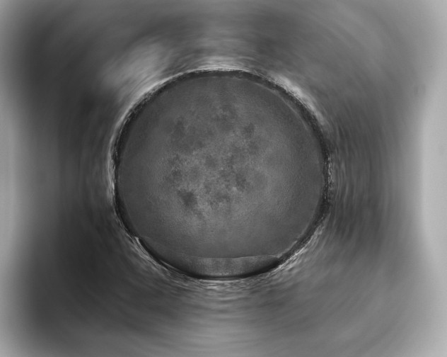 X0000093741408200710161130