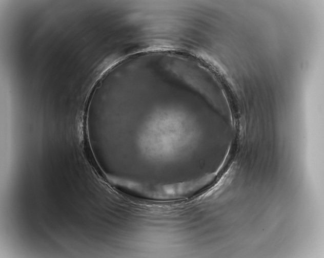 X0000093741409200710161130