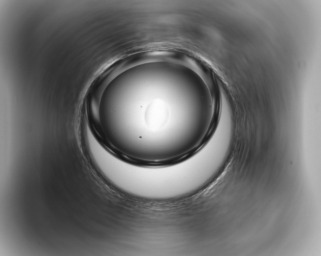 X0000093741410200710161130