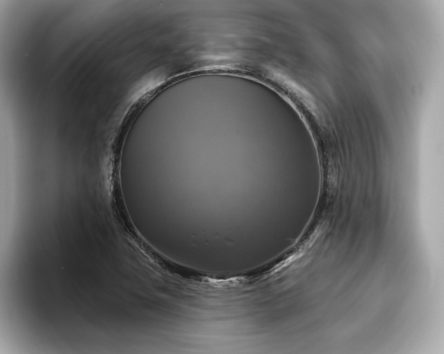 X0000093741411200710161131