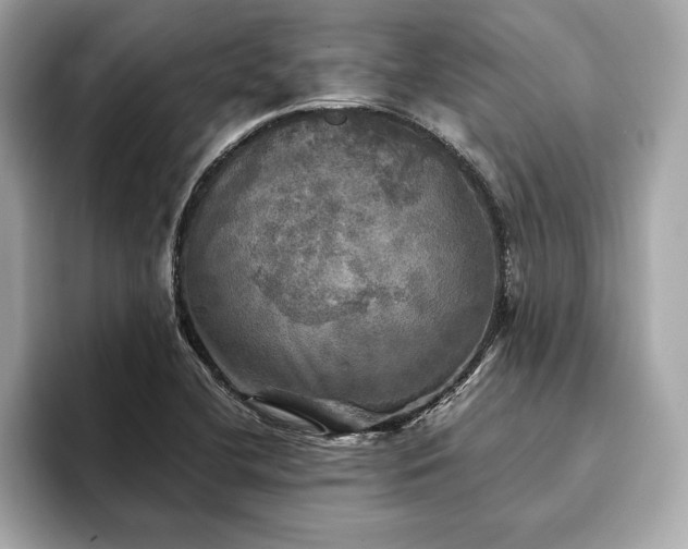 X0000093741412200710161131