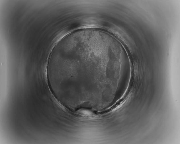 X0000093741417200710161131