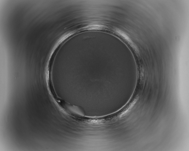 X0000093741418200710161131