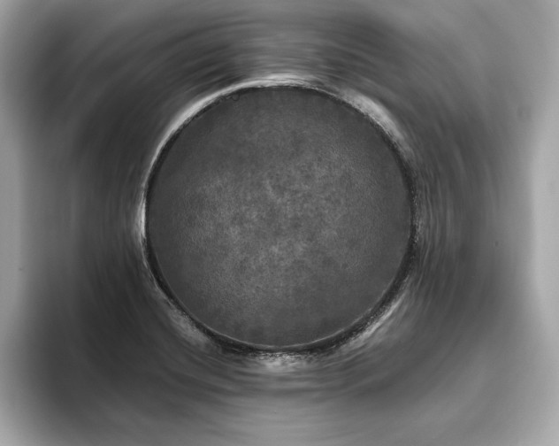X0000093741420200710161131