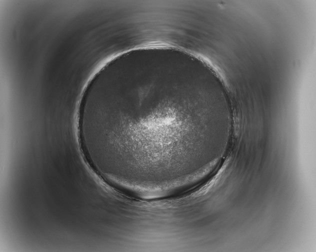 X0000093741422200710161131