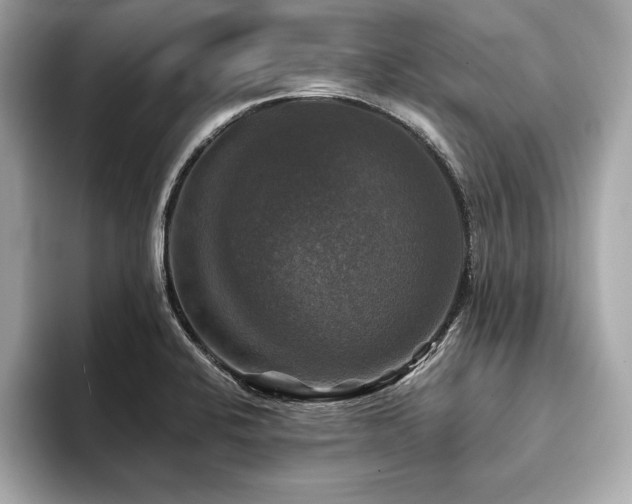 X0000093741424200710161131