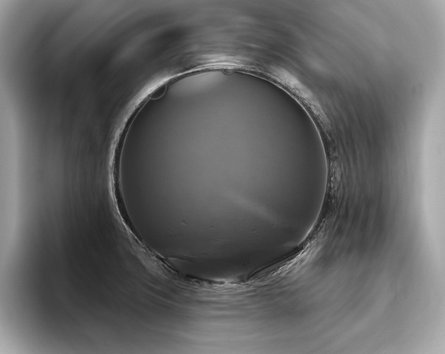 X0000093741427200710161131