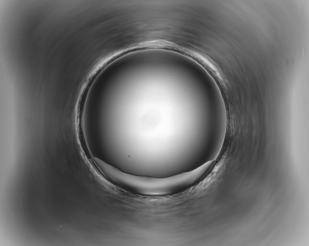 X0000093741430200710161131