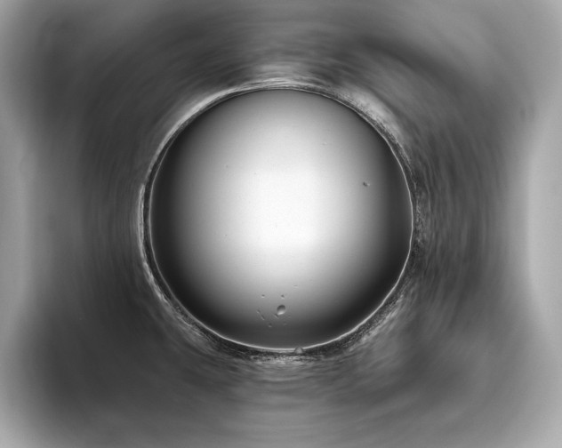 X0000093741431200710161131