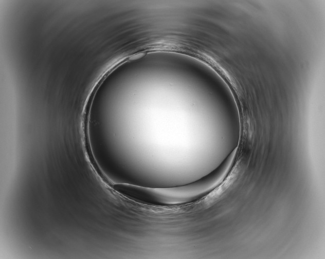 X0000093741434200710161131