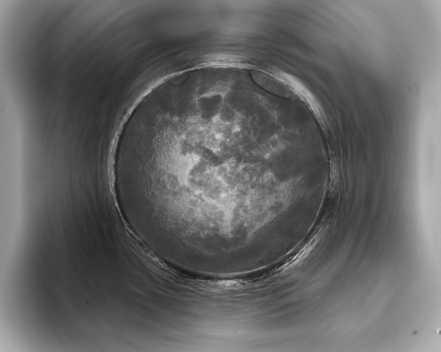 X0000093741435200710161131