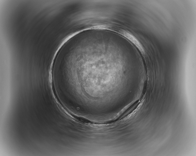 X0000093741436200710161131