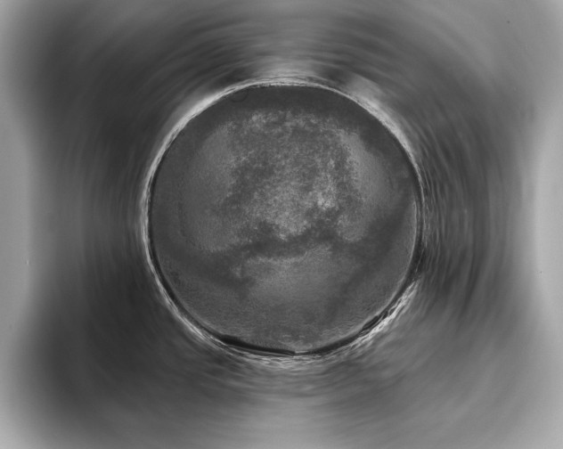 X0000093741437200710161131