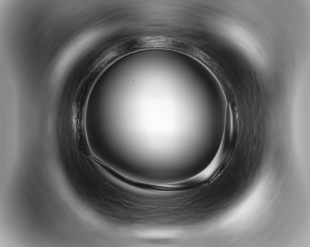 X0000093741438200710161131