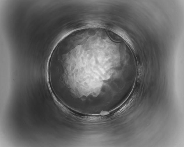X0000093741439200710161131