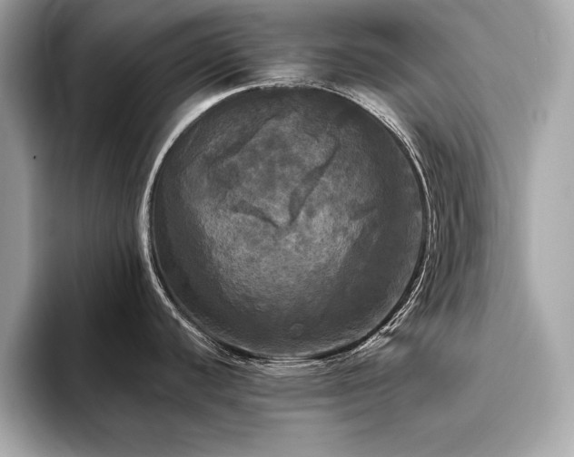 X0000093741440200710161131