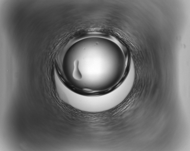 X0000093741441200710161130