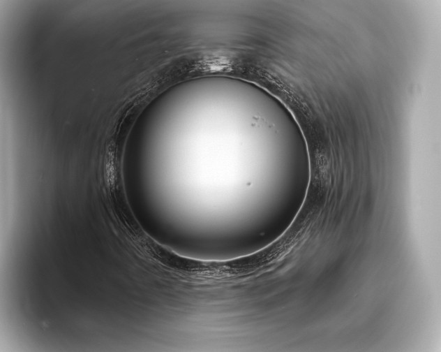 X0000093741442200710161130