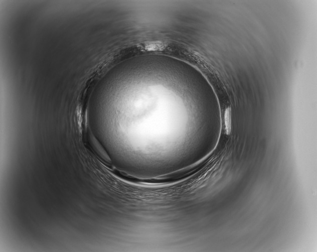 X0000093741443200710161130