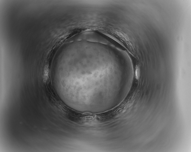 X0000093741444200710161130