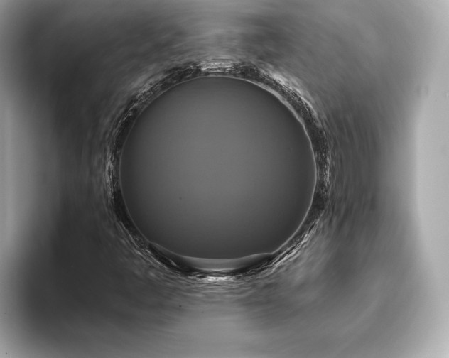 X0000093741445200710161130