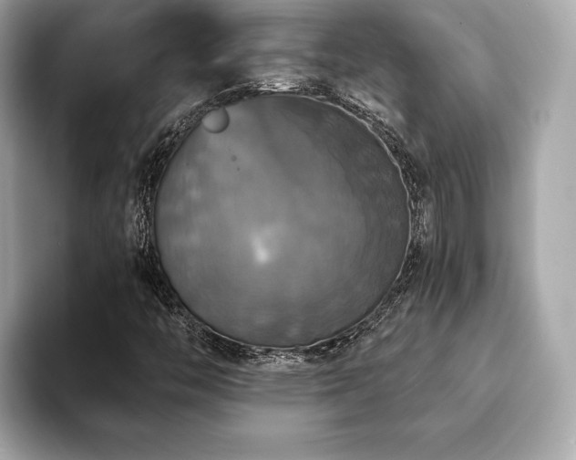 X0000093741446200710161130