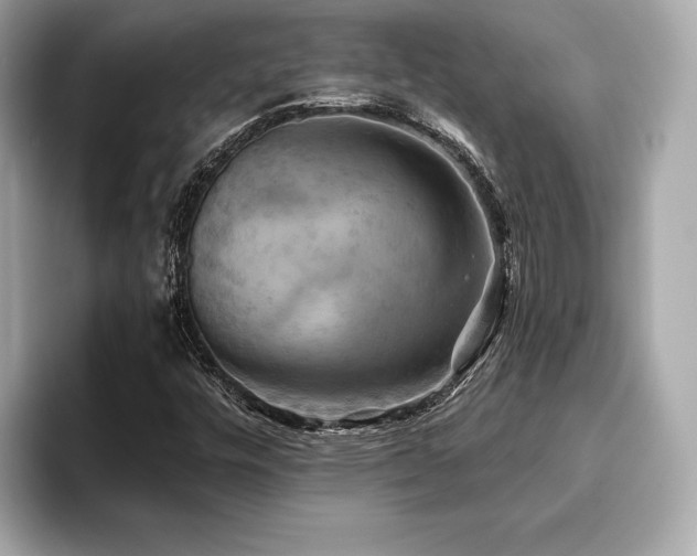 X0000093741448200710161130
