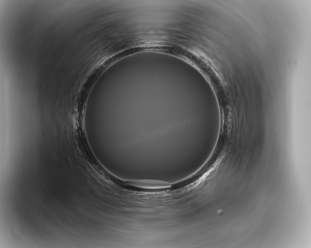X0000093741449200710161130