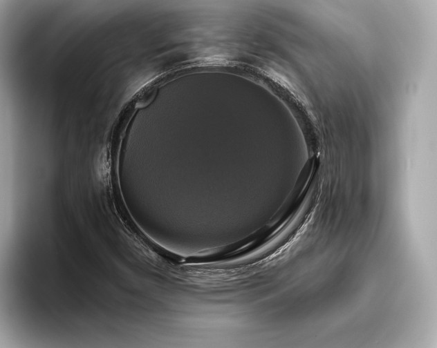 X0000093741450200710161130