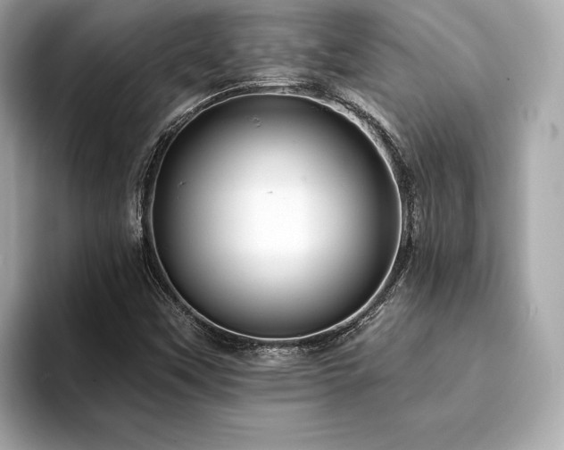 X0000093741451200710161130