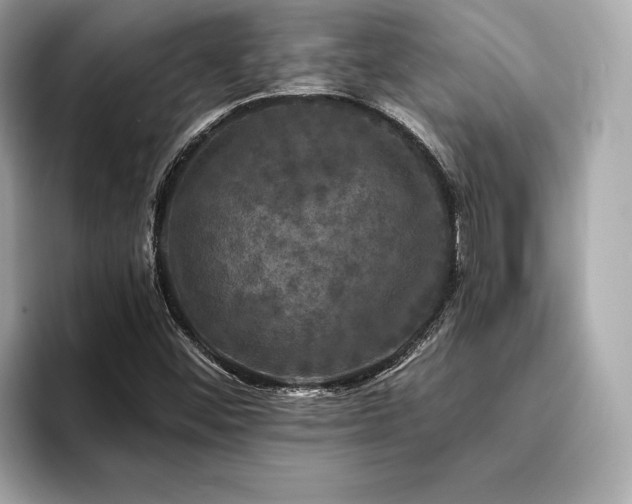 X0000093741452200710161130