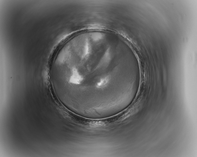 X0000093741454200710161130