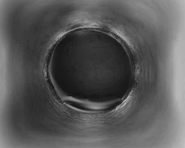 X0000093741455200710161130