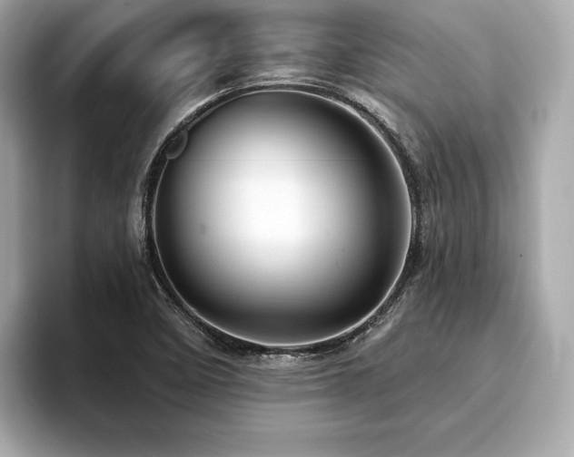 X0000093741458200710161130