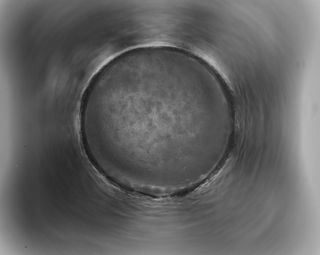 X0000093741460200710161130