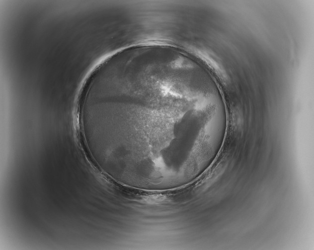 X0000093741462200710161130