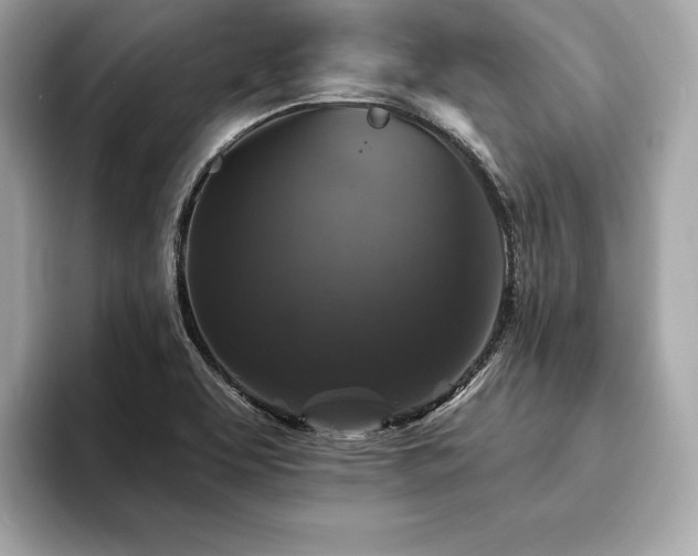 X0000093741463200710161130