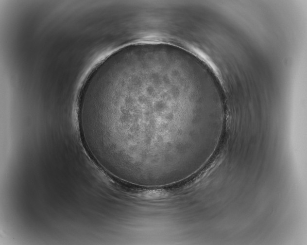 X0000093741464200710161130