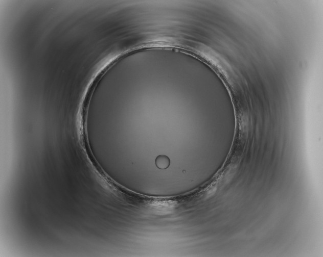 X0000093741466200710161130