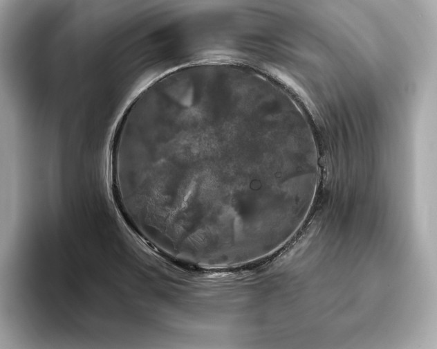 X0000093741467200710161130