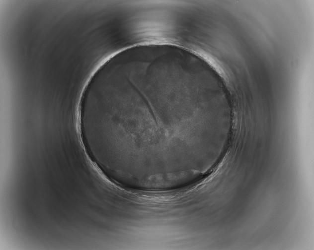 X0000093741468200710161130