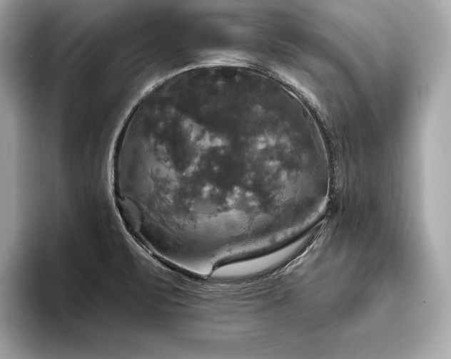 X0000093741471200710161130