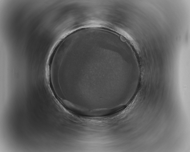 X0000093741472200710161130