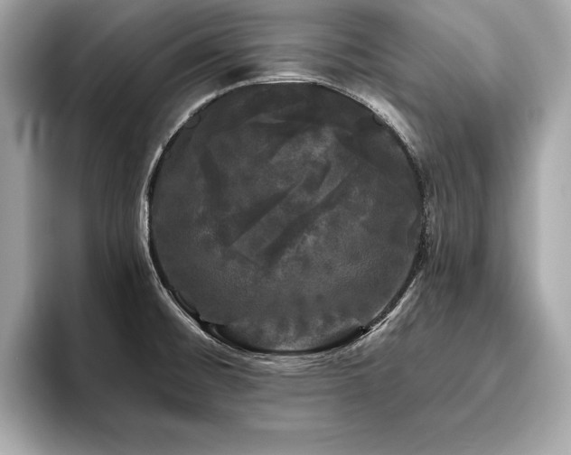 X0000093741476200710161130