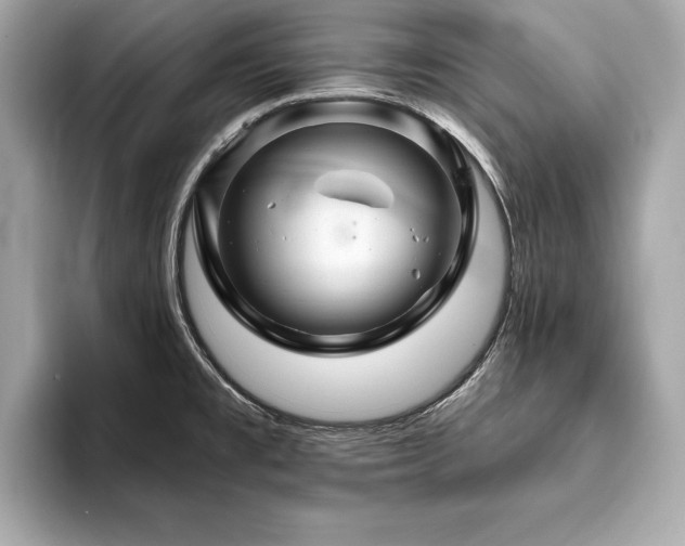 X0000093741477200710161130