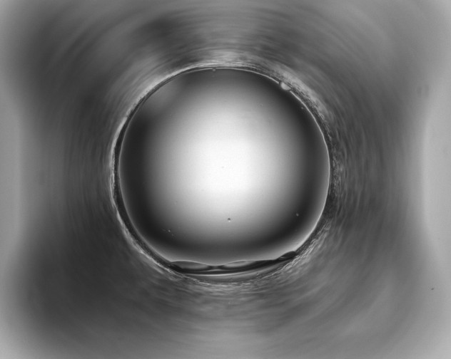 X0000093741479200710161130